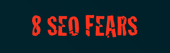 seo fears