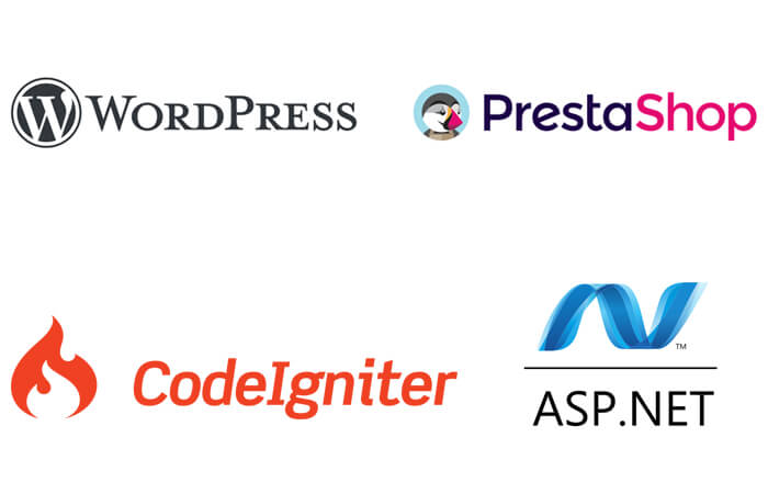 website development